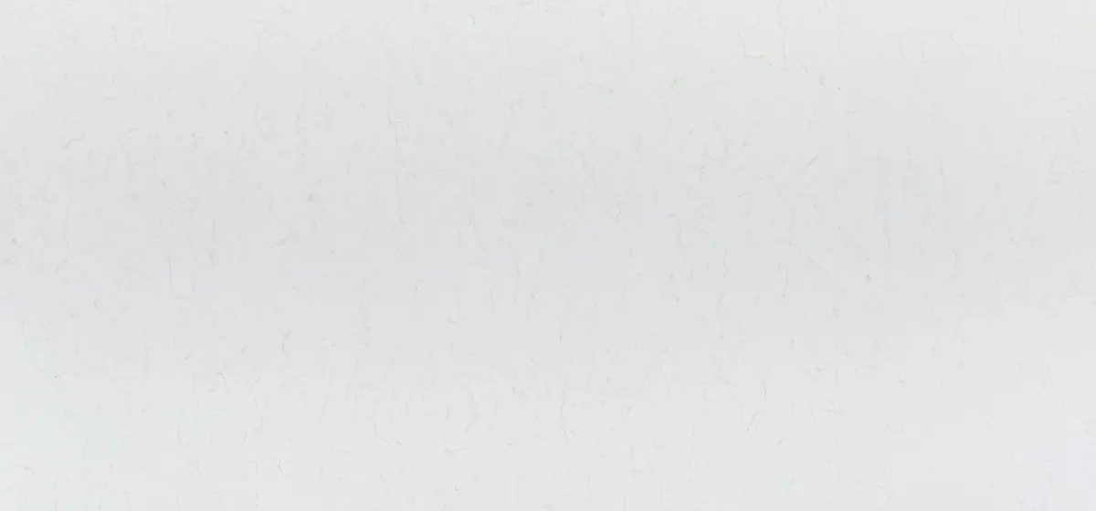 Vicostone Carrara surface